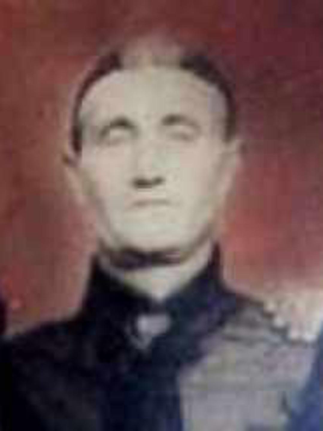 Phebe Voss (1849 - 1908) Profile